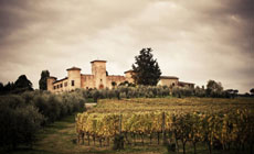 Vip Supertuscan WineTour